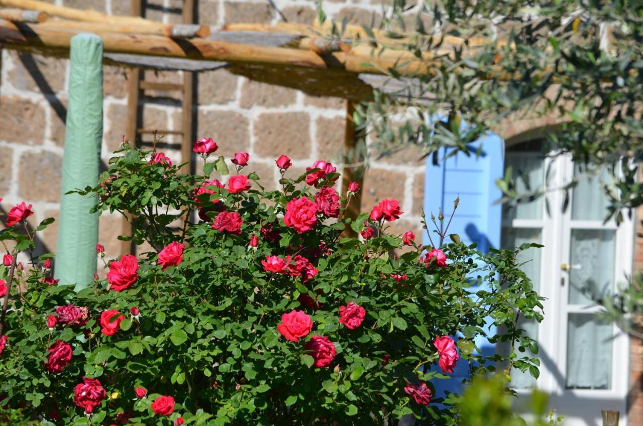 Podere Delle Rose Torre San Severo Eksteriør bilde