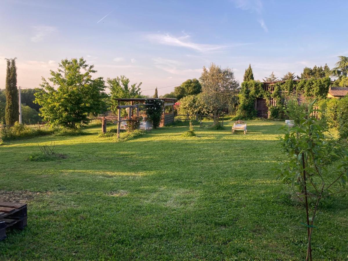 Podere Delle Rose Torre San Severo Eksteriør bilde