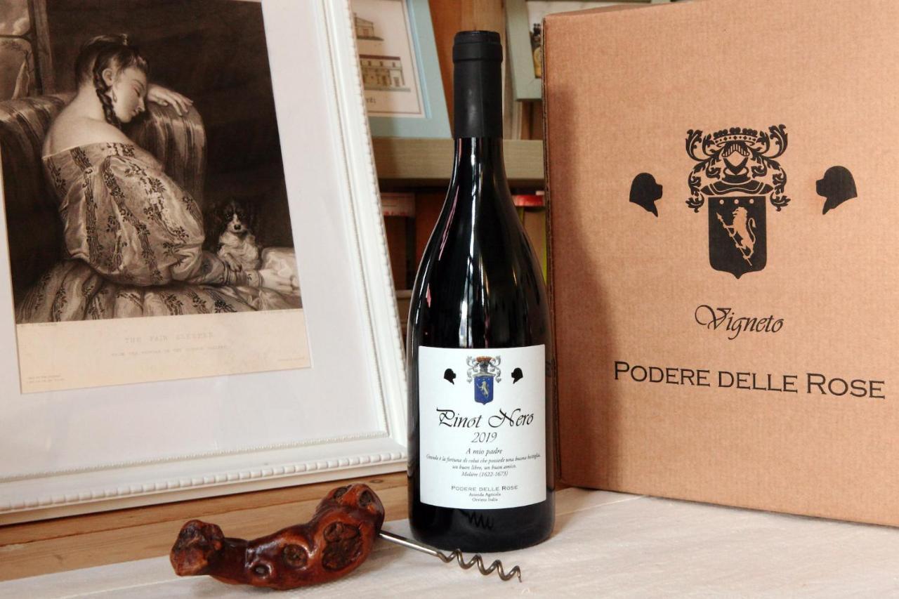 Podere Delle Rose Torre San Severo Eksteriør bilde