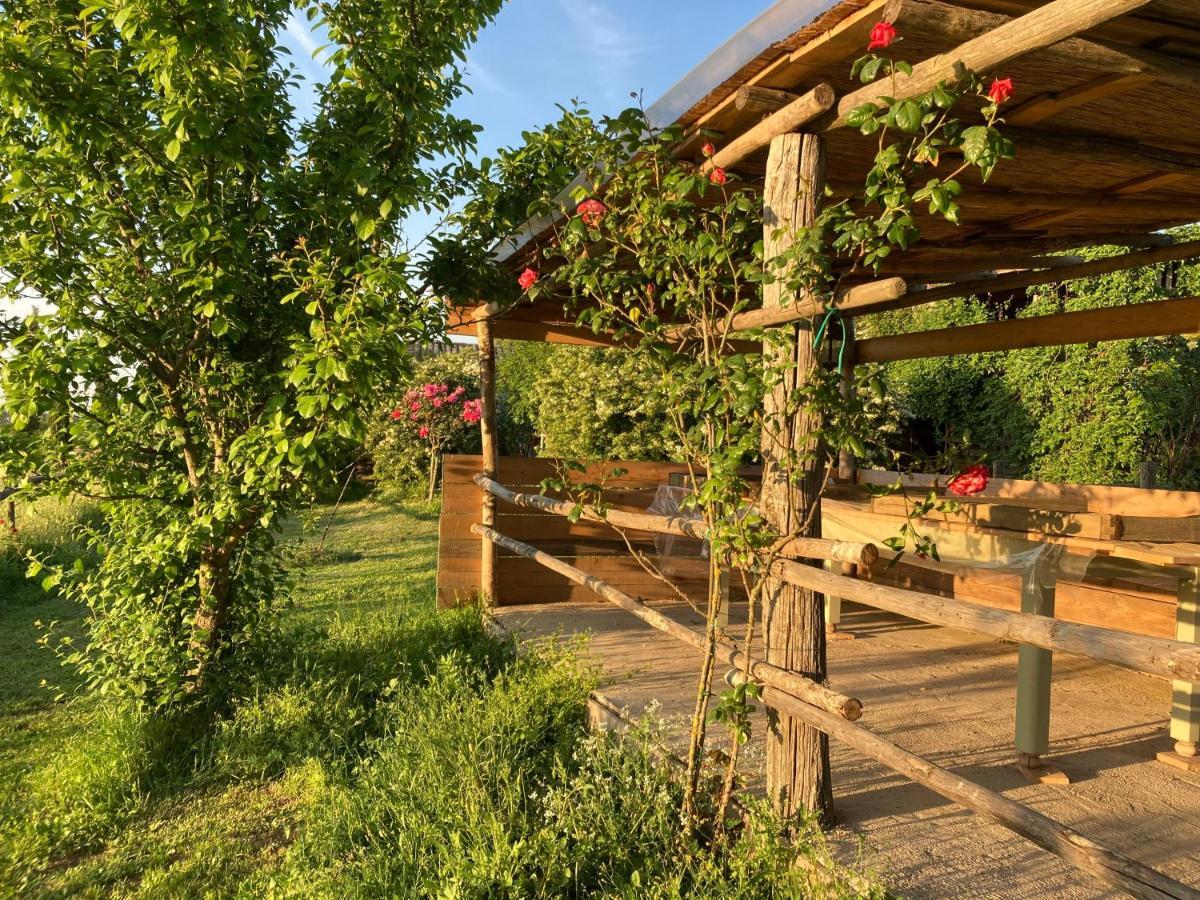 Podere Delle Rose Torre San Severo Eksteriør bilde