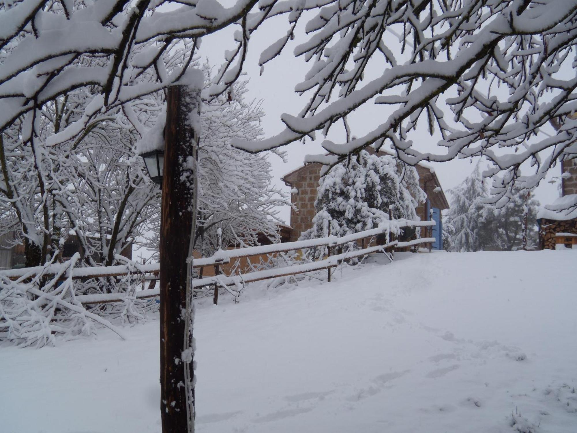 Podere Delle Rose Torre San Severo Eksteriør bilde